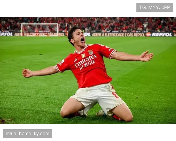 波尔图葡超经验丰富阵容稳定 孔塞桑欧战轮换策略一贯谨慎